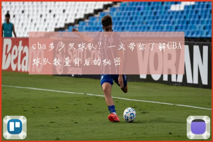 cba多少只球队？一文带你了解CBA球队数量背后的秘密